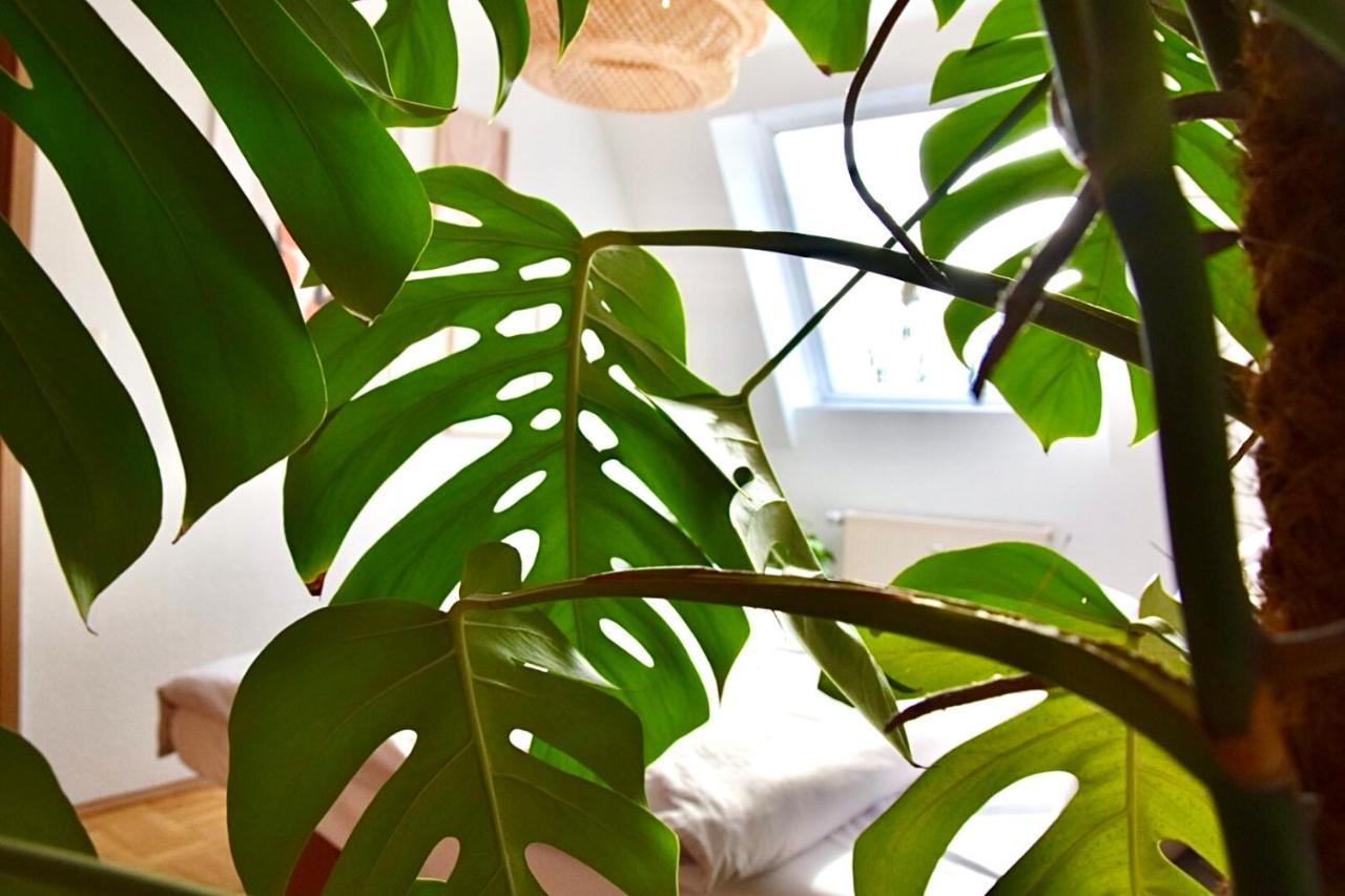 Greenbnbs: Cozy Urban Jungle In The City Centre Essen Exterior foto