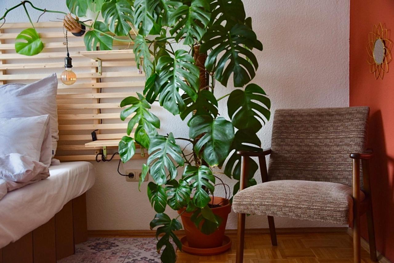 Greenbnbs: Cozy Urban Jungle In The City Centre Essen Exterior foto
